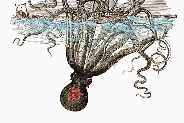Kraken 23 at