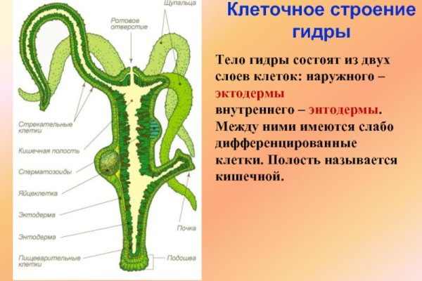 Кракен это современный супернет маркетплейс