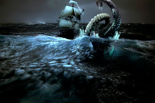 Kraken whitenet kraken whitenet 2n com