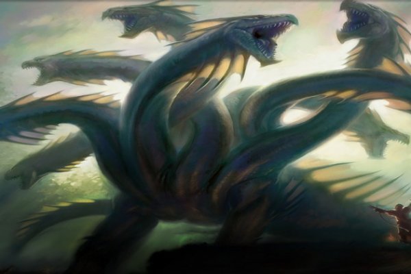 Kraken маркет whitenet только через tor