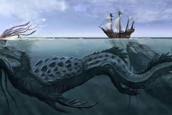 Kraken маркет whitenet только через tor скачать