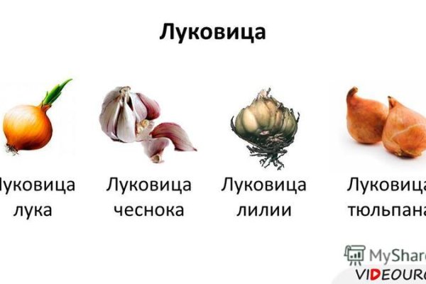 Сайты типа гидры