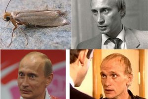 Кракен наркошоп